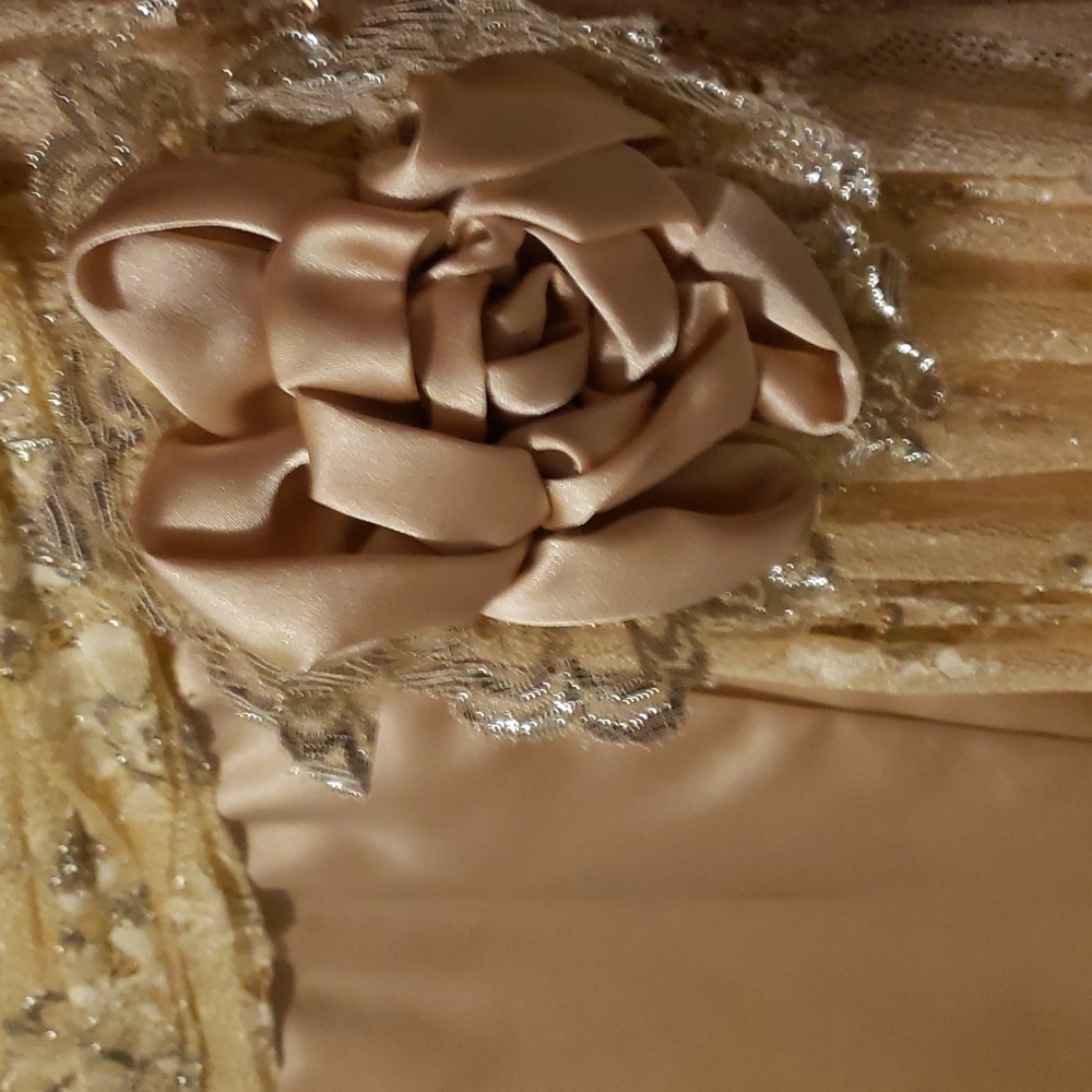 Champagne colored prom dress